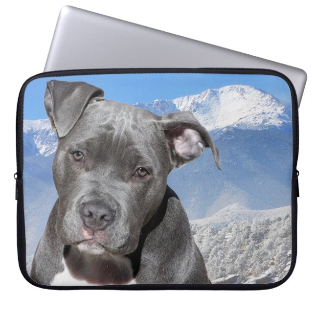Pitbull Laptopschutzhülle (Vorderseite)