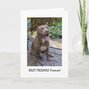 Pitbull Liebe Denke an Dich Karte