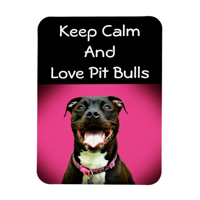 Pitbull Liebe Foto Magnet (Vertikal)