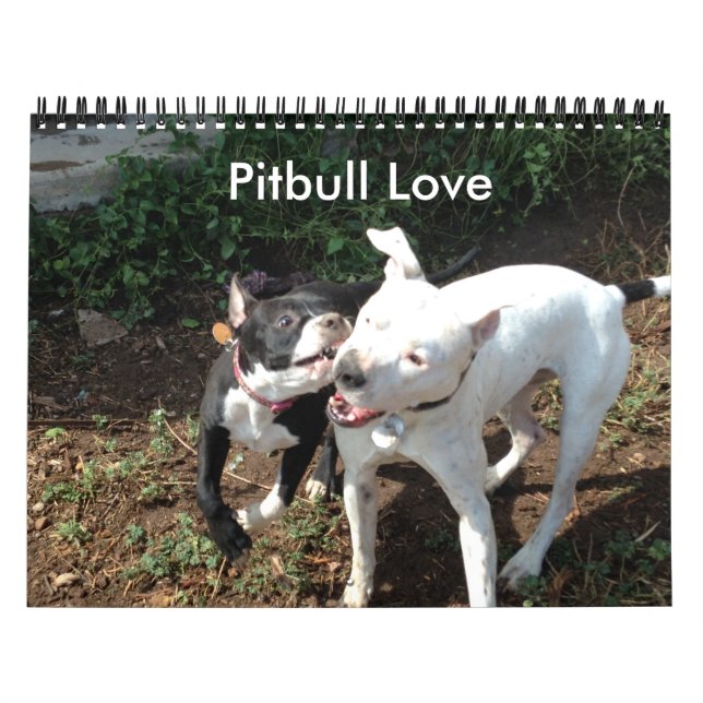 Pitbull-Liebe-Kalender Kalender (Titelbild)