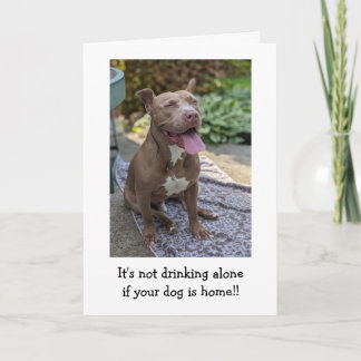 Pitbull Liebe Lustig Karte