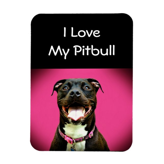 Pitbull-Liebe Magnet (Vertikal)