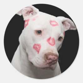 Pitbull Lover Runder Aufkleber