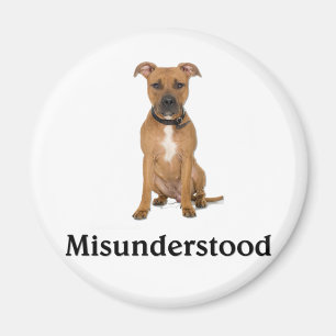 Pitbull - missverstanden magnet
