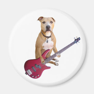 Pitbull mit Gitarre Magnet