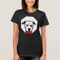 Pitbull mit Red Bowtie Handsome Dog Breed