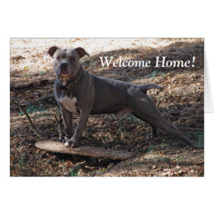 Pitbull mit Skateboard Willkommenskarte Zuhause