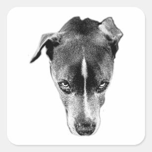 Pitbull Mix Portrait Bold Blize Art Sticker