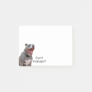 Pitbull Morning Yawn Vergiss nicht Notizen