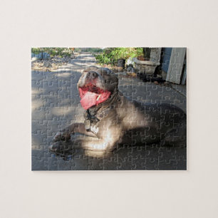 Pitbull nachlässiges Hundekuss-Puzzlespiel Puzzle