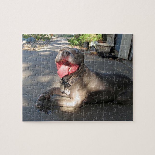 Pitbull nachlässiges Hundekuss-Puzzlespiel Puzzle (Horizontal)