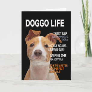 Pitbull Parody Magazine Cover Card Karte