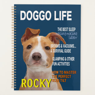 Pitbull Parody Magazine Cover Planer