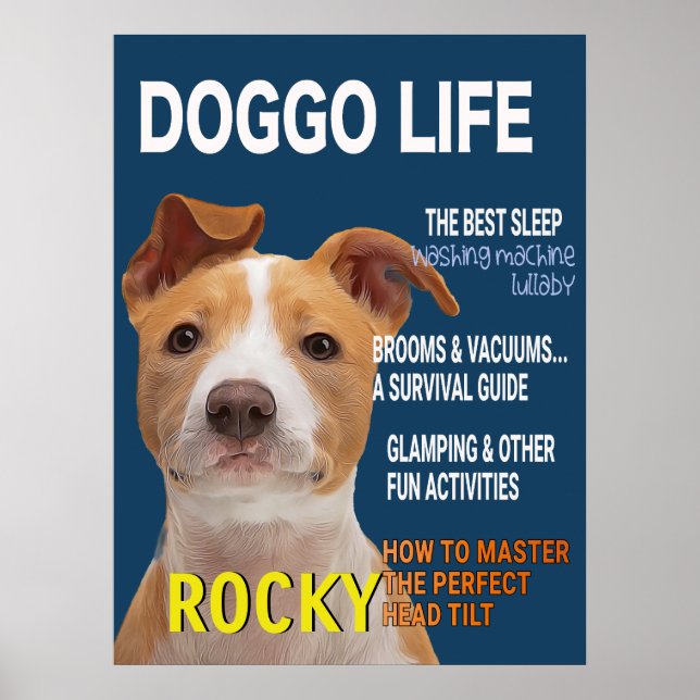 Pitbull Parody Magazine Cover Poster (Vorne)