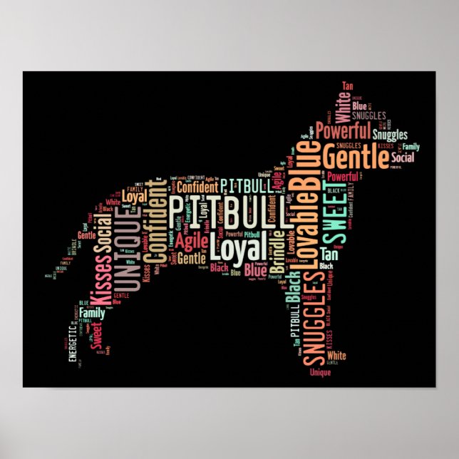 Pitbull Poster (Vorne)