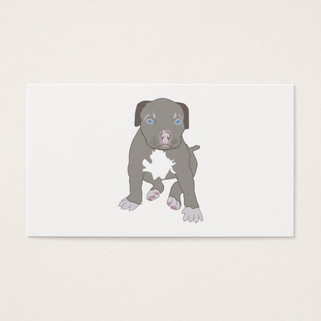 Pitbull Puppy (Vorderseite)