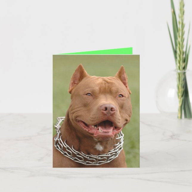 Pitbull Puppy Dodge Blank Note Card Karte (Vorderseite)