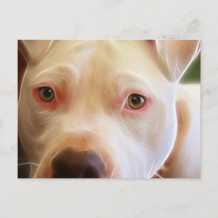 Pitbull Puppy Dog Eyes Art Fotografie Postkarte