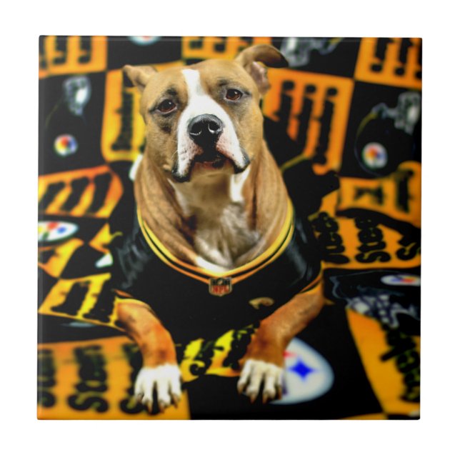 Pitbull Rescue Dog Fanatic Fliese (Vorderseite)
