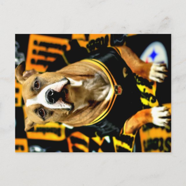 Pitbull Rescue Dog Fanatic Postkarte (Vorderseite)