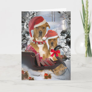 Pitbull "Santa's Sleigh" Karten
