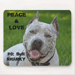 Pitbull sharky mousepad Hundpitbull Lächeln