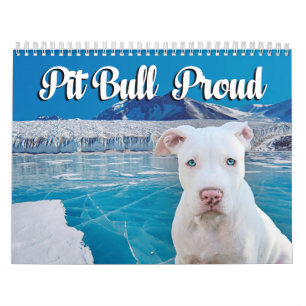 Pitbull stolz kalender