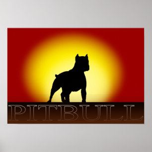 Pitbull Sunset Poster