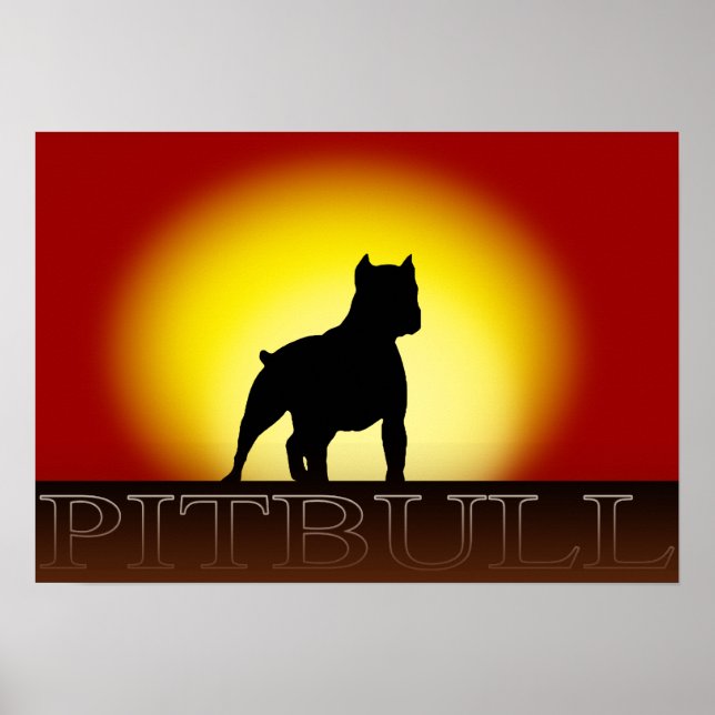 Pitbull Sunset Poster (Vorne)