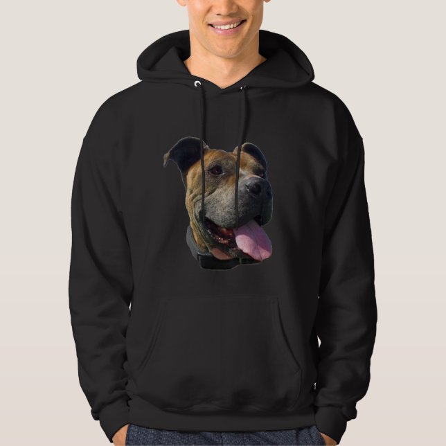 Pitbull Sweatshirt (Vorderseite)