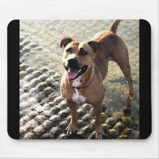 Pitbull Terrier Mousepad