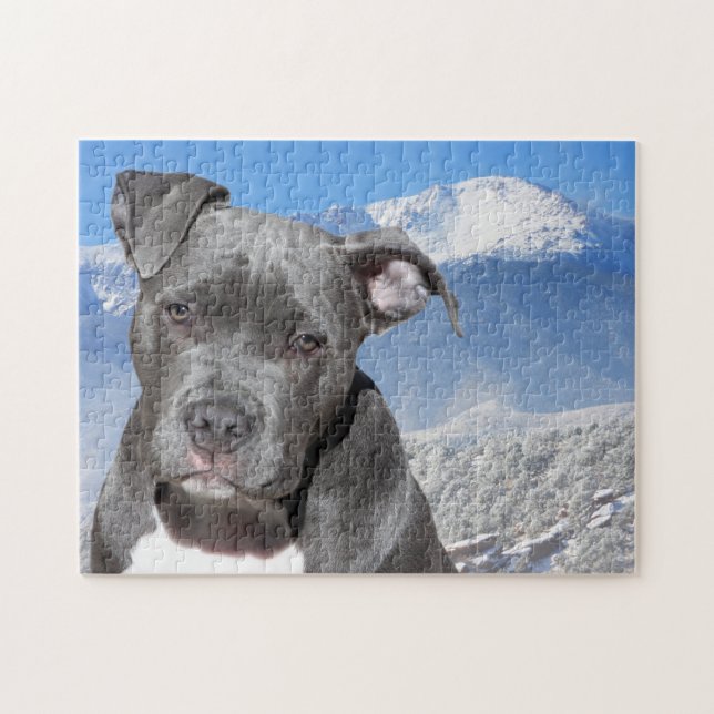 Pitbull Terrier. Puzzle (Horizontal)