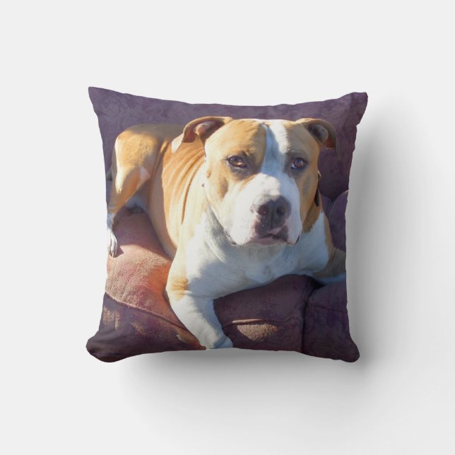 Pitbull Terrierhund Kissen (Vorderseite)