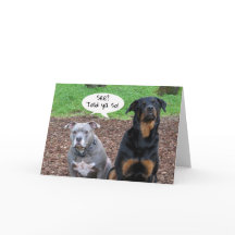 Pitbull und Rottweiler Abschluss Told Ya Card