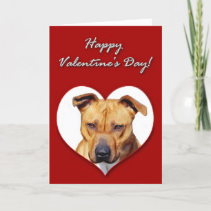 Pitbull Valentines Day Card Feiertagskarte
