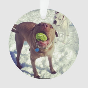 Pitbull-Weihnachtsverzierung Ornament