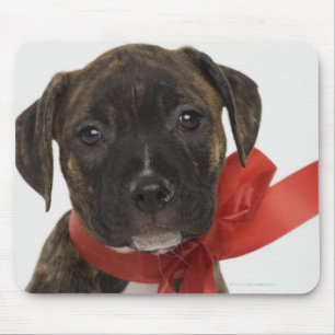 Pitbull Welpe, der rotes Band trägt Mousepad