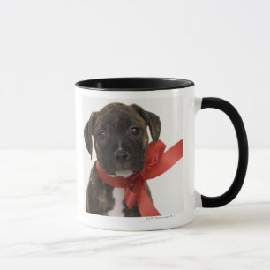 Pitbull Welpe, der rotes Band trägt Tasse
