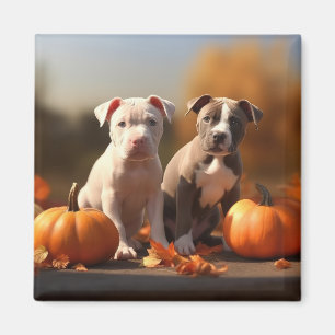 Pitbull Welpe Herbst Delight Pumpkin Magnet