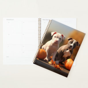 Pitbull Welpe Herbst Delight Pumpkin Planer