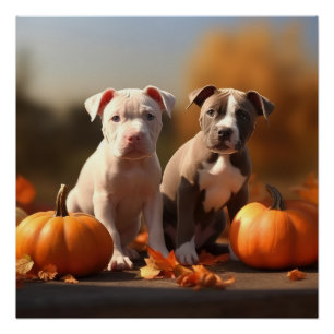 Pitbull-Welpe Herbstfreude Kürbis Poster