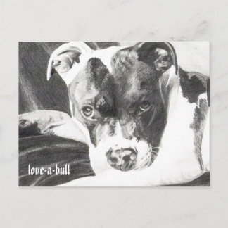 Pitbull Welpe in Bleistift 4 von Jacob Grimm Postkarte
