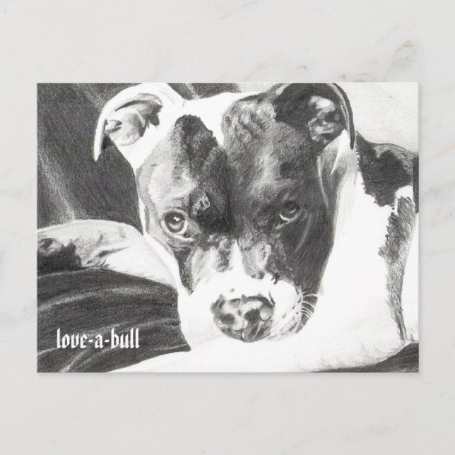 Pitbull Welpe in Bleistift 4 von Jacob Grimm Postkarte (Vorderseite)