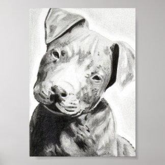 Pitbull Welpe in Bleistiftdruck von Jacob Grimm Poster