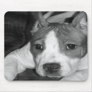 Pitbull Welpe mousepad