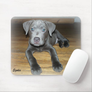 Pitbull-Welpe / Süßer Hund  Mousepad
