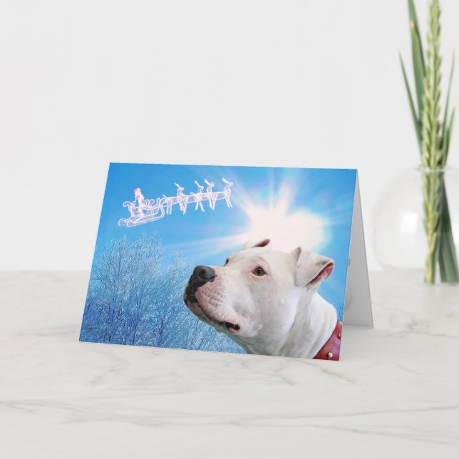 Pitbull White Dog Christmas Wish Feiertagskarte (Vorderseite)