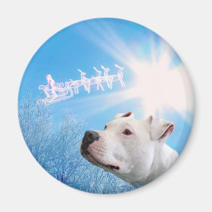 PItbull White Dog Weihnachtswunsch Magnet
