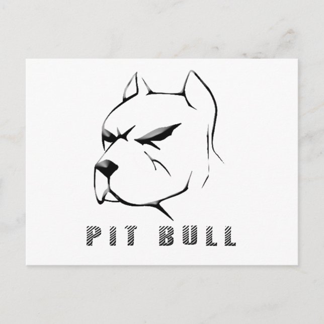 Pitbull zeichn postkarte (Vorderseite)