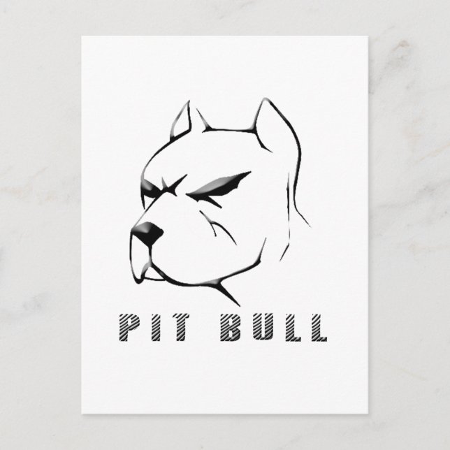 Pitbull zeichn postkarte (Vorderseite)
